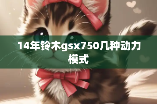 14年铃木gsx750几种动力模式