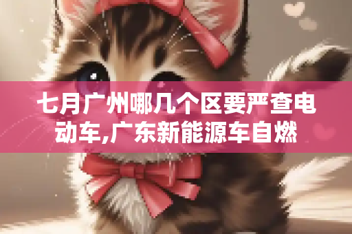 七月广州哪几个区要严查电动车,广东新能源车自燃