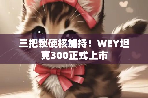 三把锁硬核加持！WEY坦克300正式上市
