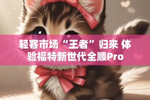 轻客市场“王者”归来 体验福特新世代全顺Pro