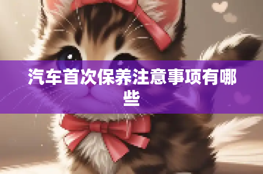 汽车首次保养注意事项有哪些