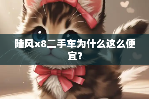 陆风x8二手车为什么这么便宜？