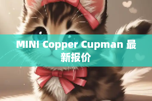 MINI Copper Cupman 最新报价