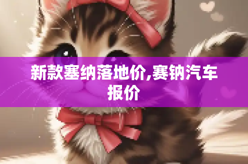 新款塞纳落地价,赛钠汽车报价