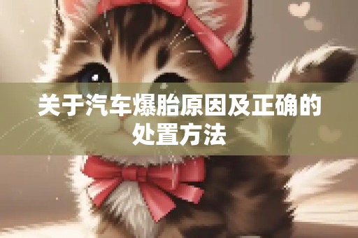 关于汽车爆胎原因及正确的处置方法