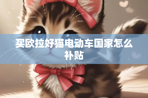 买欧拉好猫电动车国家怎么补贴