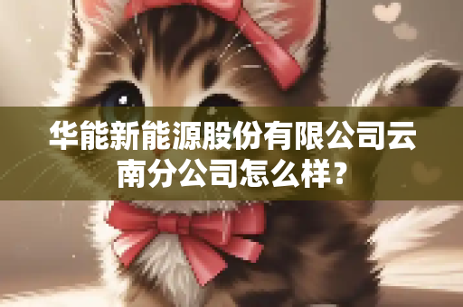 华能新能源股份有限公司云南分公司怎么样？