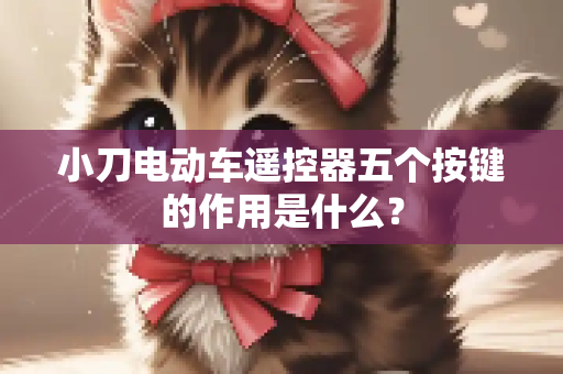 小刀电动车遥控器五个按键的作用是什么？