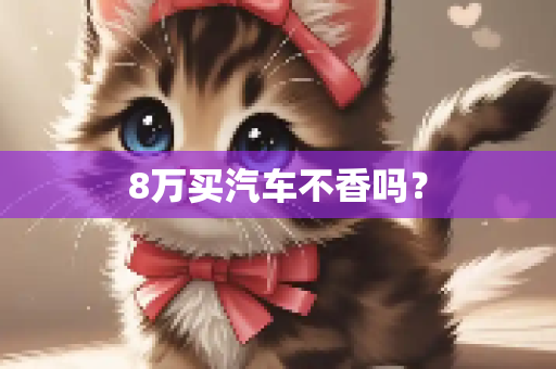 8万买汽车不香吗？