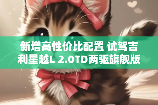 新增高性价比配置 试驾吉利星越L 2.0TD两驱旗舰版
