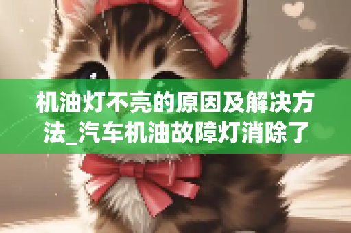 机油灯不亮的原因及解决方法_汽车机油故障灯消除了还亮怎么回事