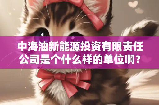 中海油新能源投资有限责任公司是个什么样的单位啊？