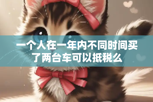 一个人在一年内不同时间买了两台车可以抵税么