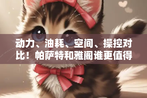 动力、油耗、空间、操控对比！帕萨特和雅阁谁更值得选？