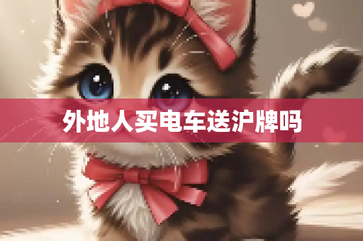 第411页