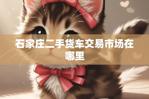 石家庄二手货车交易市场在哪里