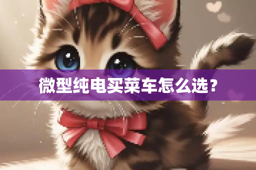 微型纯电买菜车怎么选？