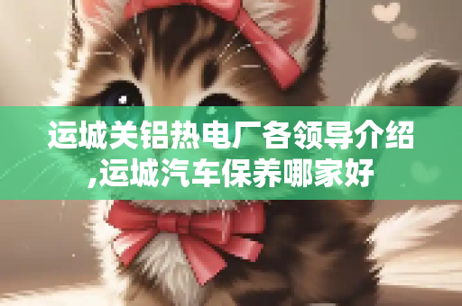 运城关铝热电厂各领导介绍,运城汽车保养哪家好