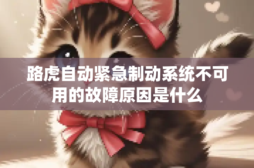 路虎自动紧急制动系统不可用的故障原因是什么