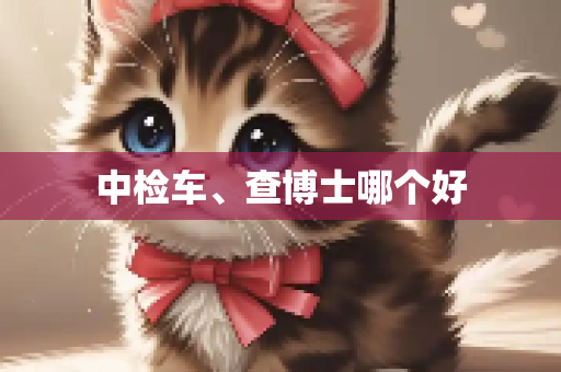 中检车、查博士哪个好