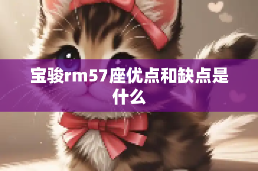 宝骏rm57座优点和缺点是什么
