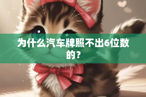 为什么汽车牌照不出6位数的？