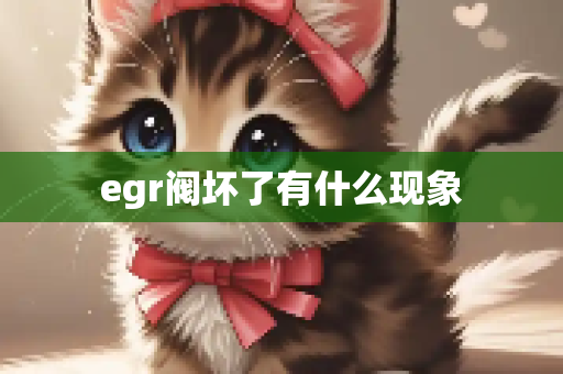 egr阀坏了有什么现象