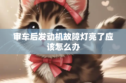 审车后发动机故障灯亮了应该怎么办