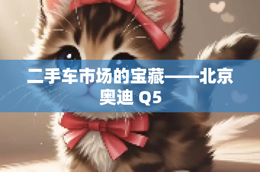 二手车市场的宝藏——北京奥迪 Q5
