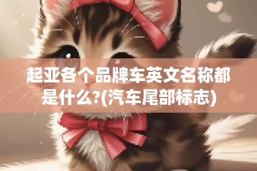 起亚各个品牌车英文名称都是什么?(汽车尾部标志)