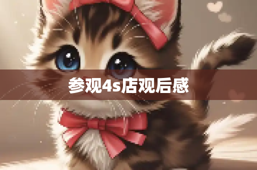 参观4s店观后感