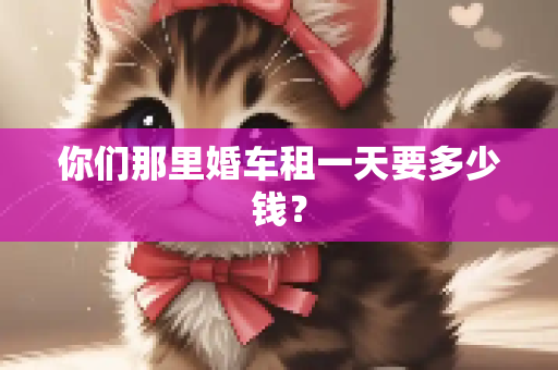 你们那里婚车租一天要多少钱？
