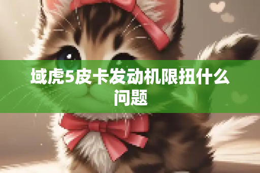 域虎5皮卡发动机限扭什么问题