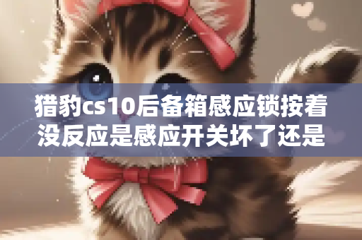 猎豹cs10后备箱感应锁按着没反应是感应开关坏了还是锁坏了
