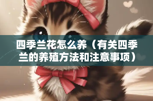 四季兰花怎么养（有关四季兰的养殖方法和注意事项）