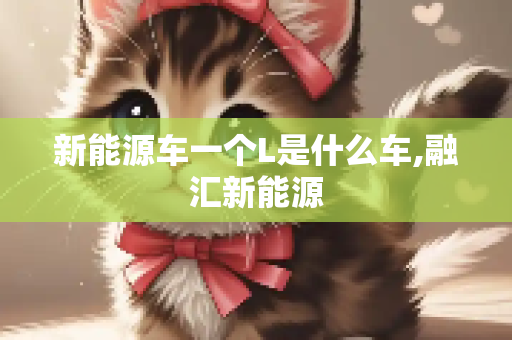 新能源车一个L是什么车,融汇新能源