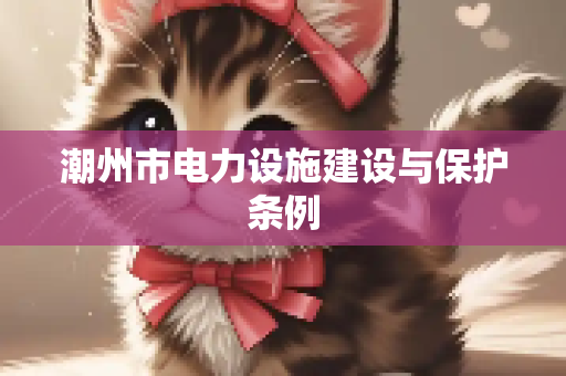 潮州市电力设施建设与保护条例