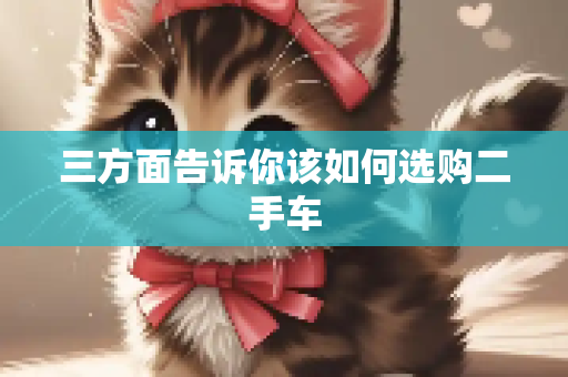 vsprin 第4页