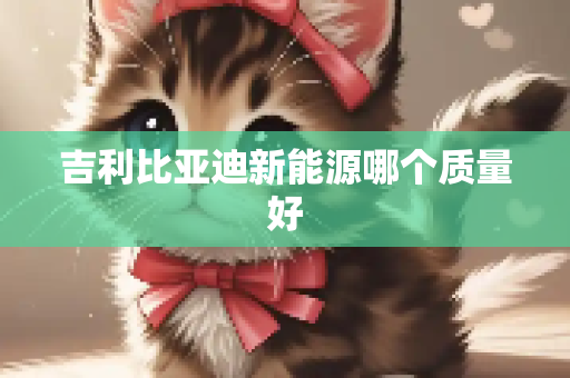吉利比亚迪新能源哪个质量好