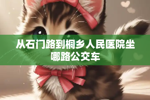 从石门路到桐乡人民医院坐哪路公交车