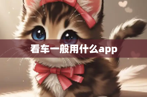 看车一般用什么app