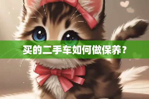 买的二手车如何做保养？
