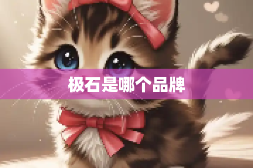 极石是哪个品牌