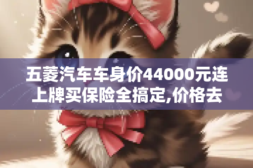 五菱汽车车身价44000元连上牌买保险全搞定,价格去到哪里