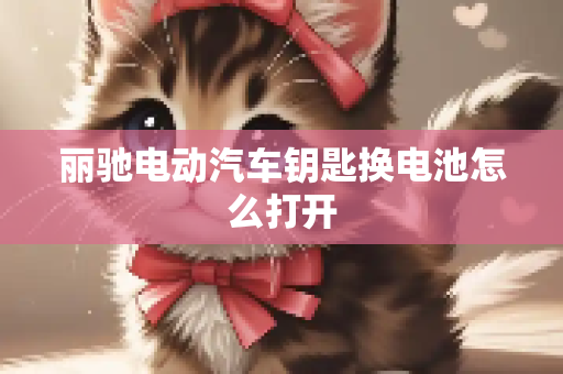 丽驰电动汽车钥匙换电池怎么打开