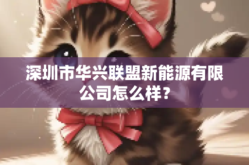 深圳市华兴联盟新能源有限公司怎么样？
