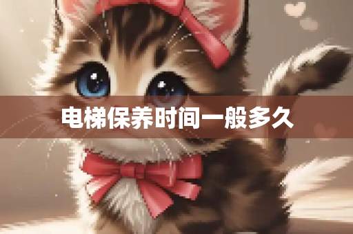 电梯保养时间一般多久