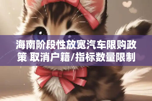 海南阶段性放宽汽车限购政策 取消户籍/指标数量限制等