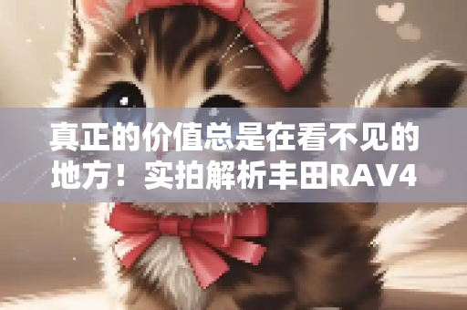 真正的价值总是在看不见的地方！实拍解析丰田RAV4荣放