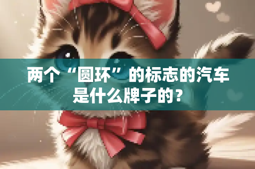 两个“圆环”的标志的汽车是什么牌子的？